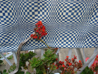 vintage tablecloths