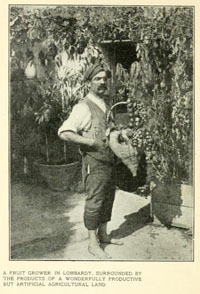 Italian fruit grower