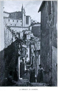Urbino 1904