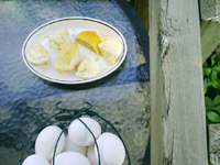 eggs alla Milanese